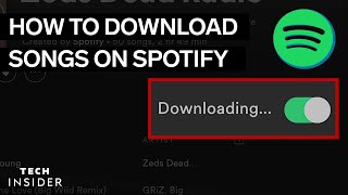 How To Download Music From Spotify 2022 [upl. by Nrubyar]