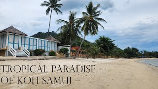 Tropical Paradise of Koh Samui [upl. by Scurlock789]