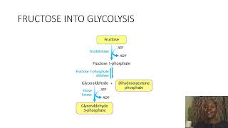 Biochemistry SimplifiedFructoseANDGalactoseintoGlycolysis [upl. by Helbon]