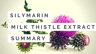 Milk thistle extractssilymarinsilibinSilybum marianum benefitsfunctionsproduction 2018 Organic [upl. by Noskcire]