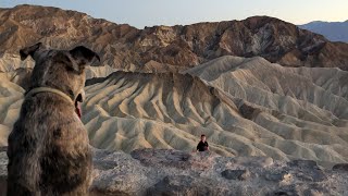 Who is behind The Crime in Slab City [upl. by Nairrad868]