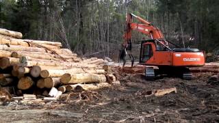 Debark Eucalyptus logs with excavator grab [upl. by Enatan438]