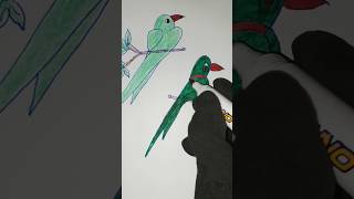 How to easy drawing for parrotskids easy drawing step by step artshorts easy [upl. by Valley]