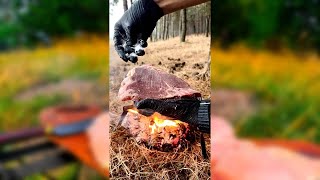 How to Grill the Perfect Steak amp Hamburger BBQ Masterclass cooking wildernesscooking food [upl. by Small]