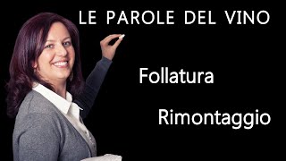 Follatura e Rimontaggio  Le parole del vino  Tutorial Vino Italiano [upl. by Nyrac]