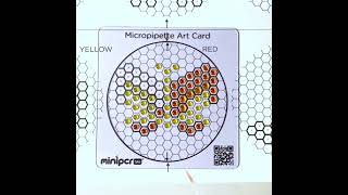 Micropipette Art Full STEAM Ahead  Butterfly pattern [upl. by Lagasse]