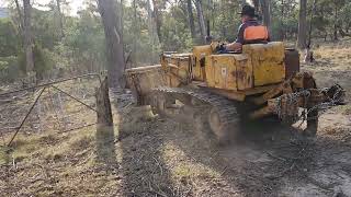 OLD INTERNATIONAL 125B DROTT CLEARING OLD FENCE LINE PART 1 [upl. by Roze]