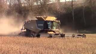 Big CLAAS Lexion Combines Harvesting Wheat Beans [upl. by Fayth]