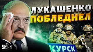 Прорыв ВСУ под Курском Лукашенко схватился за сердце и предсказал КРАХ России Саша спасайся [upl. by Kory460]