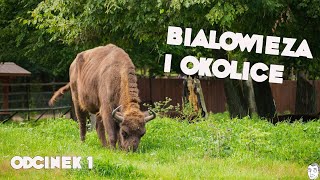 Białowieża Podlasie Co warto zobaczyć [upl. by Roshan714]