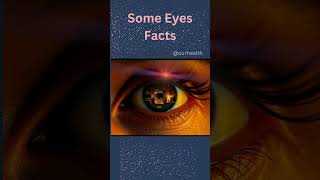 The Eye is More Incredible Than You Thought The Eye  The Most UNBELIEVABLE Facts [upl. by Pillihp]