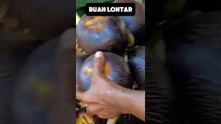 Buah lontar buahan fruit buah lontar shorts [upl. by Hildegaard750]