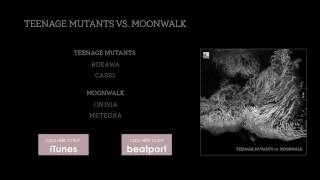 Moonwalk  Meteora Stil vor Talent [upl. by Ebony385]