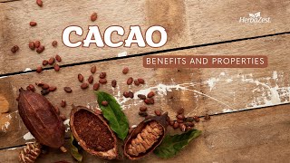 The Health Benefits of Cacao  Herbazest [upl. by Earlie743]