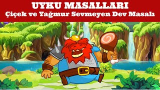 Çiçek ve Yağmur Sevmeyen Dev Masalı Masal Çizgi Film Çocuk Masalları Turkish Fairy Tales [upl. by Meingoldas]