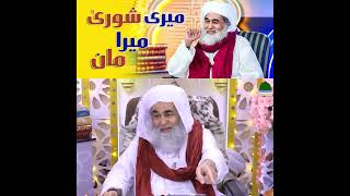 Ameer e AhlySunnat talking about Arakeen e Shura [upl. by Walsh552]