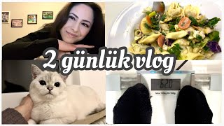 Diyet vlog 2 gün istediğimi yedim arkadaşımın kedilerine baktım 🥰 [upl. by Ahseral241]