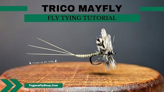 The Trico Mayfly [upl. by Sabian]