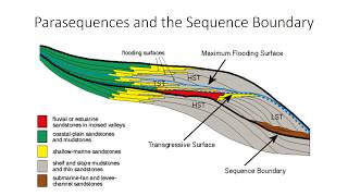 21  Parasequences and sequence boundary [upl. by Aetnuahs548]