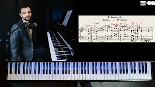 Schumann Träumerei  TutorialAnalysis [upl. by Ayinat790]