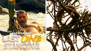 Most Dangerous Moments of Season 1  Naked and Afraid Last One Standing  Discovery [upl. by Llered]