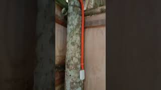 Electrical House Wiring Installation 2  September 28 2024 [upl. by Acirej]