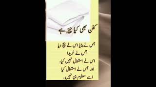 Kafan b kya cheez h  Golden Words In Urdu Urdu Quotes Islamic Information [upl. by Nnylesor]