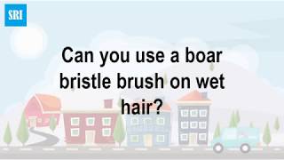 Can you use a boar bristle brush on wet hair [upl. by Shlomo]