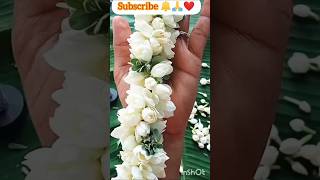 Jasmine flower garland making at home  jasmine flower garland easy string method for beginners [upl. by Thibault]