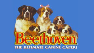 Beethoven The Ultimate Canine Caper 🎮SNES  ✨HD Longplay  No Commentary [upl. by Eseuqram]