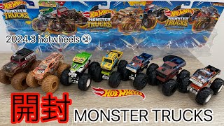 Hotwheels Monster trucks ホットウィール モンスタートラック新作を開封！個性に富んだトラックが色々登場！ [upl. by Yesnik]