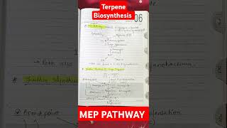 Biosynthesis of Five Carbon Unit of Terpene MEP Pathway Synthesis of Large Terpenes csirnet plant [upl. by Kopple]