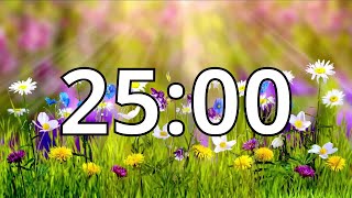 25 Minutes Timer with Music  Spring Timer [upl. by Anirod112]