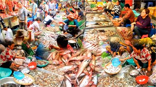 Cambodian This Year is Rich in Fish Market Vendors are agile Fresh Fish Fresh Seafood Pork [upl. by Meirrak]