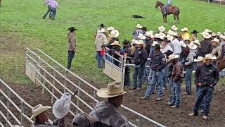 Calf Ropin Wed Perf  Pendleton Roundup 2024  91124 [upl. by Kcam]