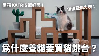 為什麼養貓需要買貓跳台？和那堤開箱KATRIS貓好居 ft KATRIS EP120 [upl. by Lolande141]