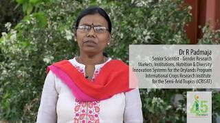 ICRISAT at 45 ‘my wish’ for the drylands Dr R Padmaja [upl. by Iniretake57]