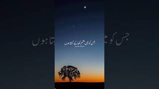 Aap sallallaho tala alehi vasllam ne farmaya Sabar karne walon ki shan🥺 [upl. by Aisyat]