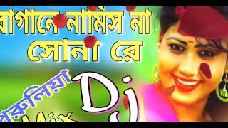 Bagane Namis Na Sona Re  Jor Khayao Dayao 10 Takar Dal Bhat Dailog Mix  Dj Song [upl. by Koeninger]