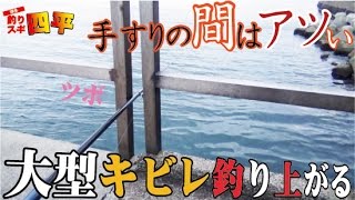 投げ釣りマムシでキビレチヌ釣れた110話目 [upl. by Talanta245]