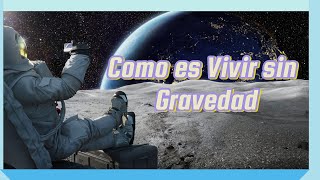 Como Es Vivir Sin Gravedad En El Espacio [upl. by Atilamrac]