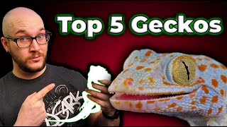 Top 5 BEST Geckos  Perfect Pets In A Small Package [upl. by Alyos414]