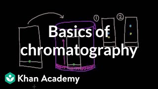 Basics of chromatography  Chemical processes  MCAT  Khan Academy [upl. by Amlez]