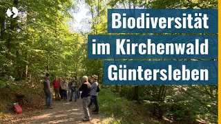 Wo sich Hirschkäfer und Fledermaus wohlfühlen  Kirchenwald in Güntersleben sorgt für Biodiversität [upl. by Naval819]