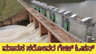 Manasa Sarovara Dam gate open ಮಾನಸ ಸರೋವರ ಗೇಟ್ ಓಪನ್ ಮಾಡಿದಾಗ ನೀರು ಹರಿಯುವ ಅದ್ಬುತ ದೃಶ್ಯ viralvideo [upl. by Thenna397]