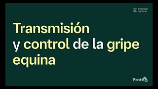 Transmisión y control de la gripe equina [upl. by Ramedlaw]