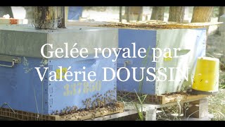 Production de la gelée royale [upl. by Yrffoeg]