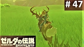 【鹿についに乗れた！ ミーズー・ヨの祠】攻略 ゼルダの伝説 ブレスオブザワイルド 47 quotMezza Lo Shrinequot BREATH OF THE WILD [upl. by Ah795]