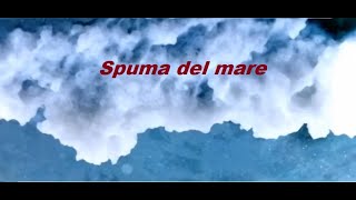 Spuma del mare COME FARE [upl. by Bullough885]