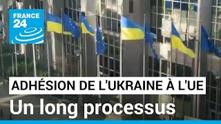 Adhésion de lUkraine à lUnion européenne  un long processus • FRANCE 24 [upl. by Raynold740]